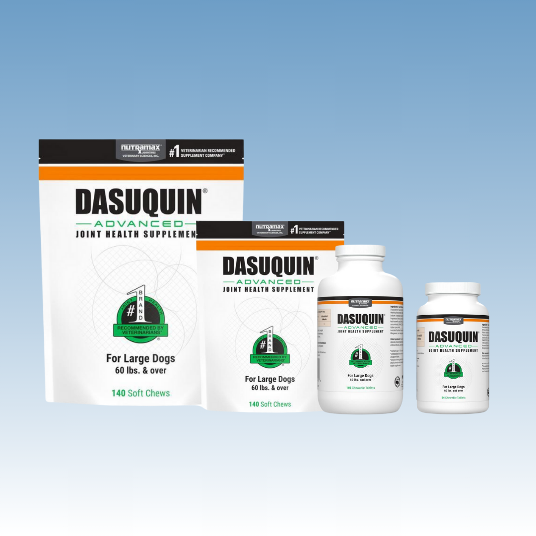 Dasuquin Advanced for Dogs over 60 lbs